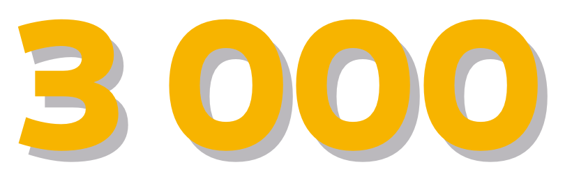 3000
