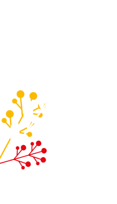 Décoration de noël