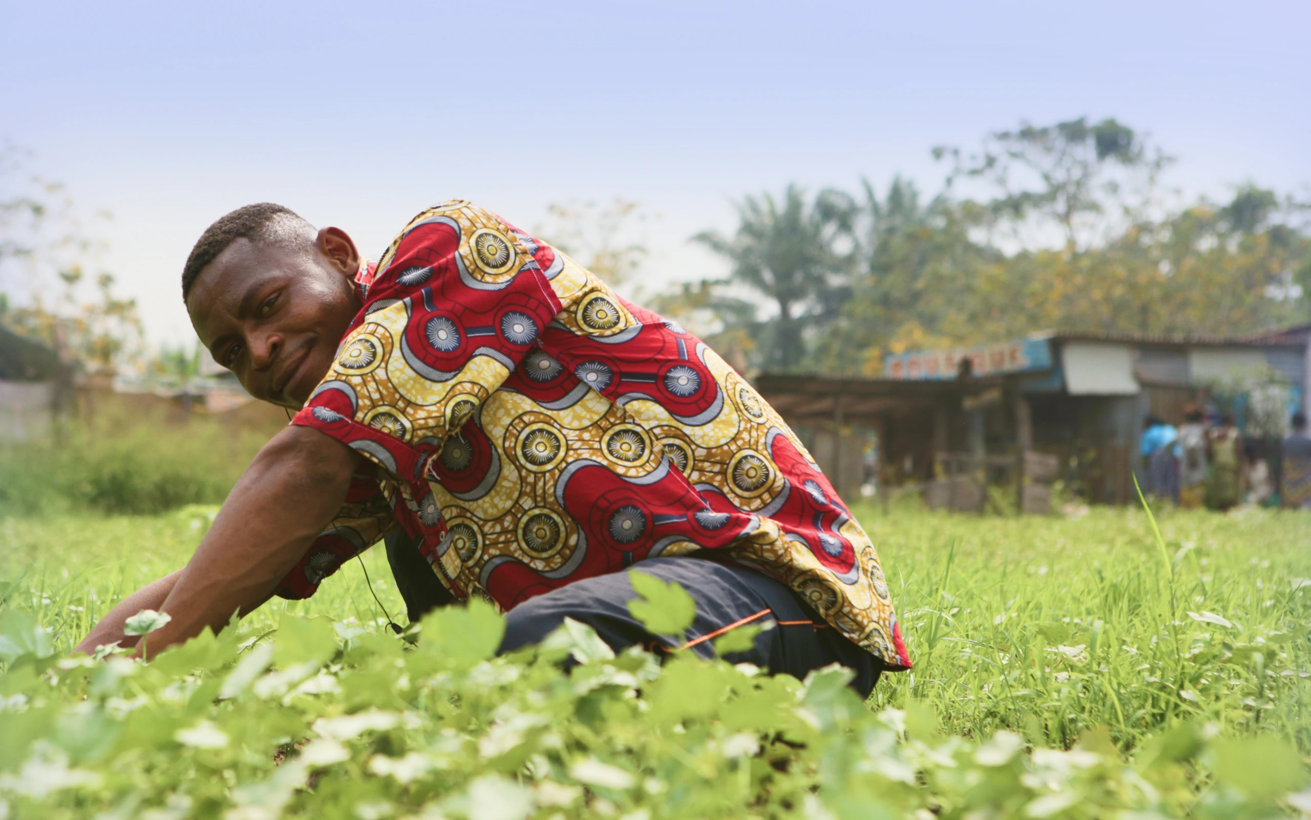 Visuel pour 'Soutenez le centre agroécologique à Kinshasa pour stopper les pesticides chimiques.'