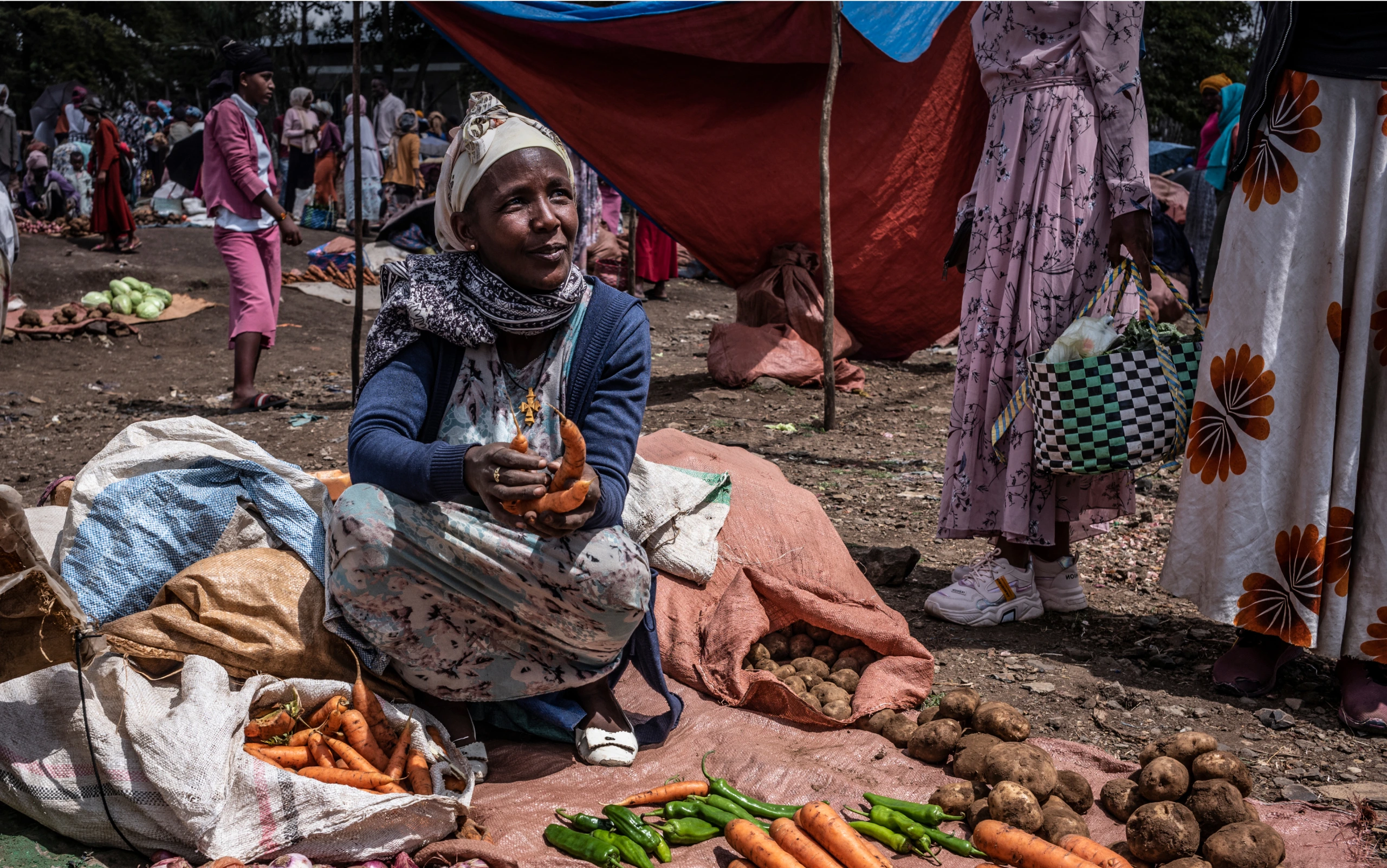 Visuel pour 'Soutenez l’autonomisation des femmes rurales grâce à la microfinance.'