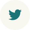 Icone Twitter
