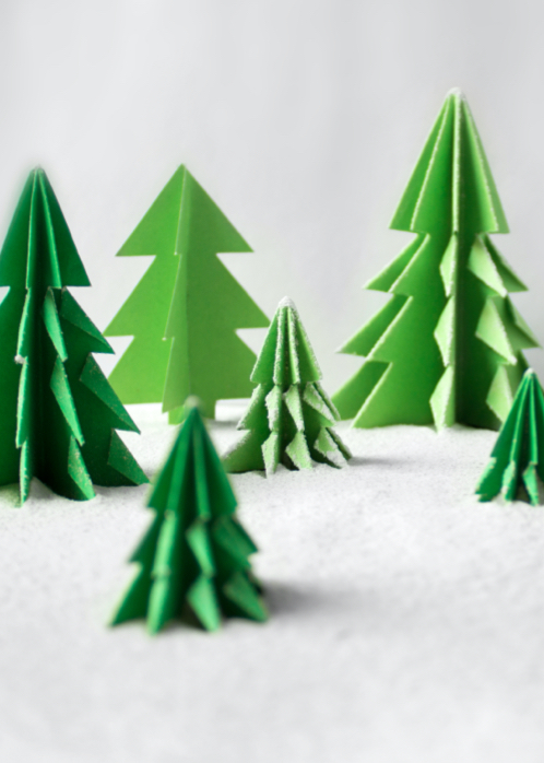Votre sapin maison